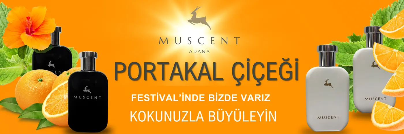 Proje görseli